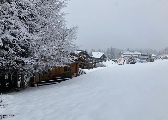 Chalet 6 Personnes Sur Piste