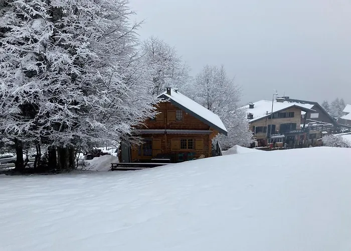 Chalet 6 Personnes Sur Piste